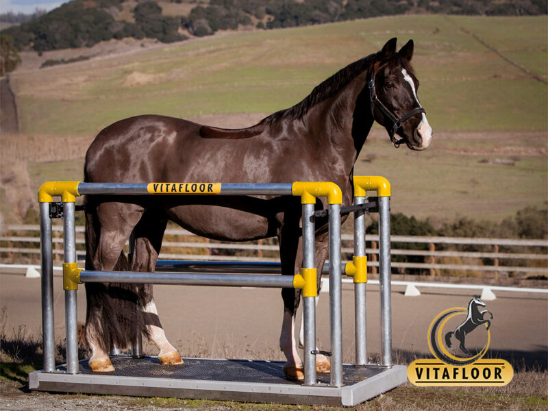 Foto-vitafloor Foto-vitafloor